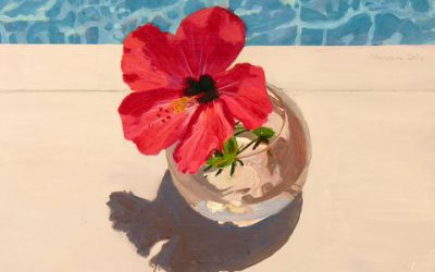 Hibiscus and Pool